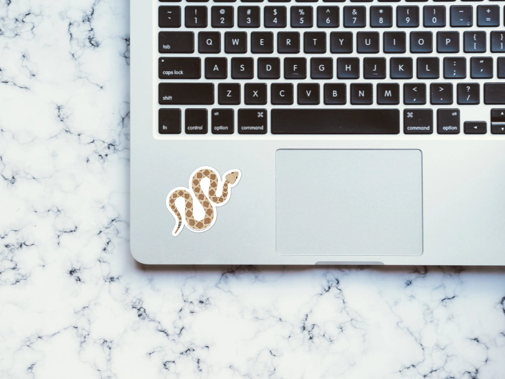 Western Diamondback Rattlesnake Sticker | Good Cheer Paper Co