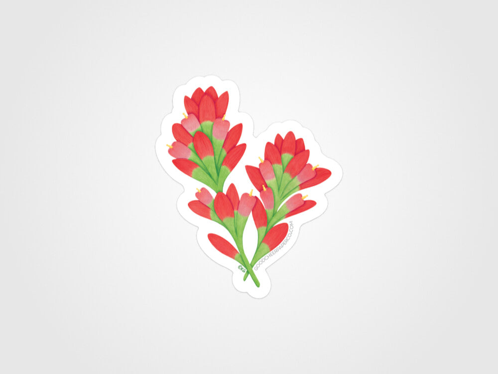 Texas Paintbrush Vinyl Sticker