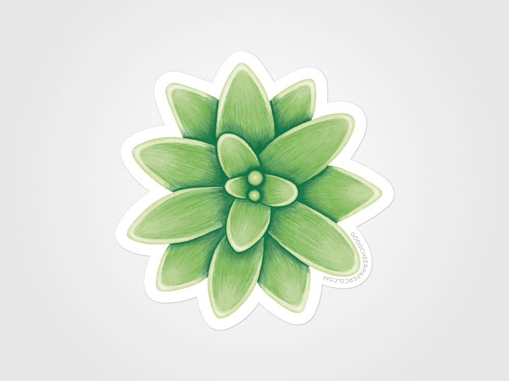 Green Succulent Sticker | Good Cheer Paper Co