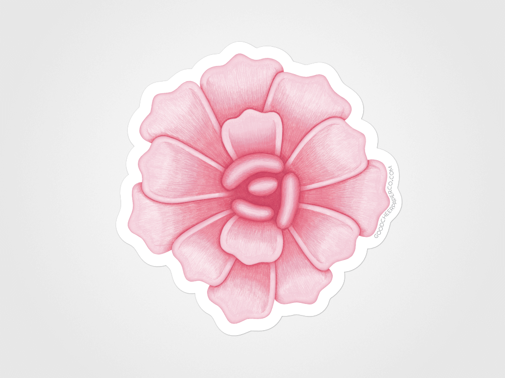 Pink Succulent Sticker | Good Cheer Paper Co