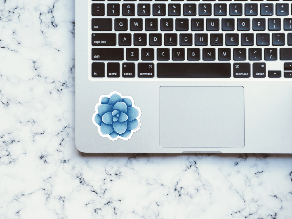 Blue Succulent Sticker | Good Cheer Paper Co
