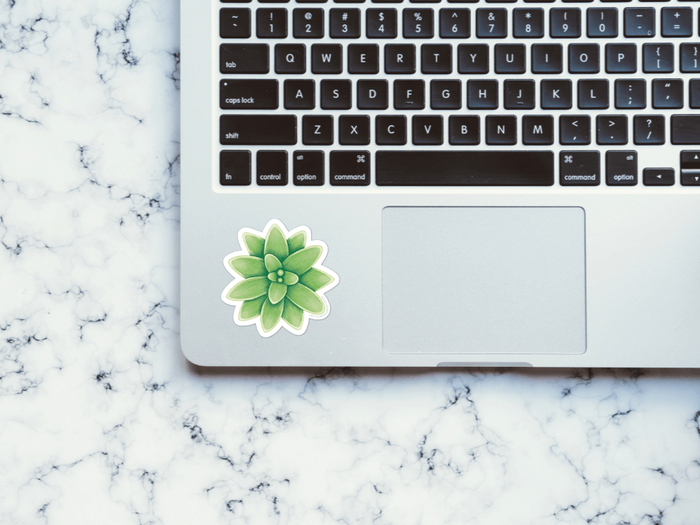 Green Succulent Sticker | Good Cheer Paper Co
