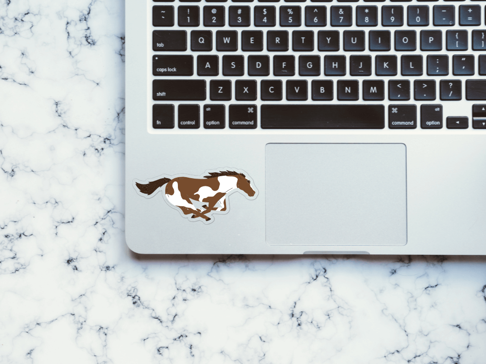 Pinto Mustang Horse Sticker | Good Cheer Paper Co