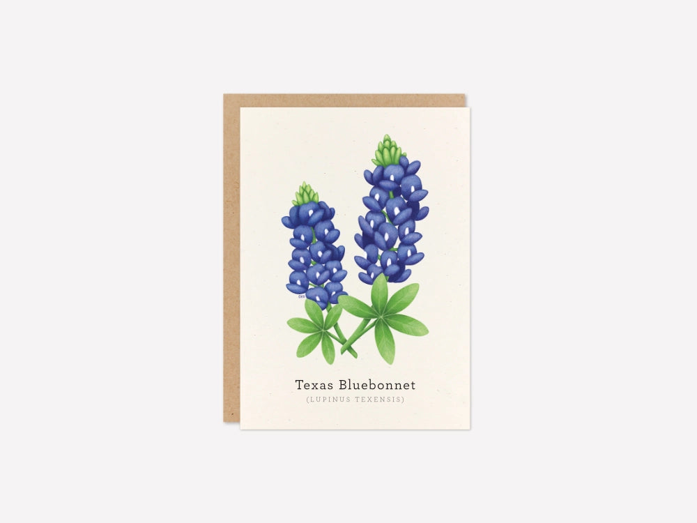 Texas Bluebonnet Greeting Card