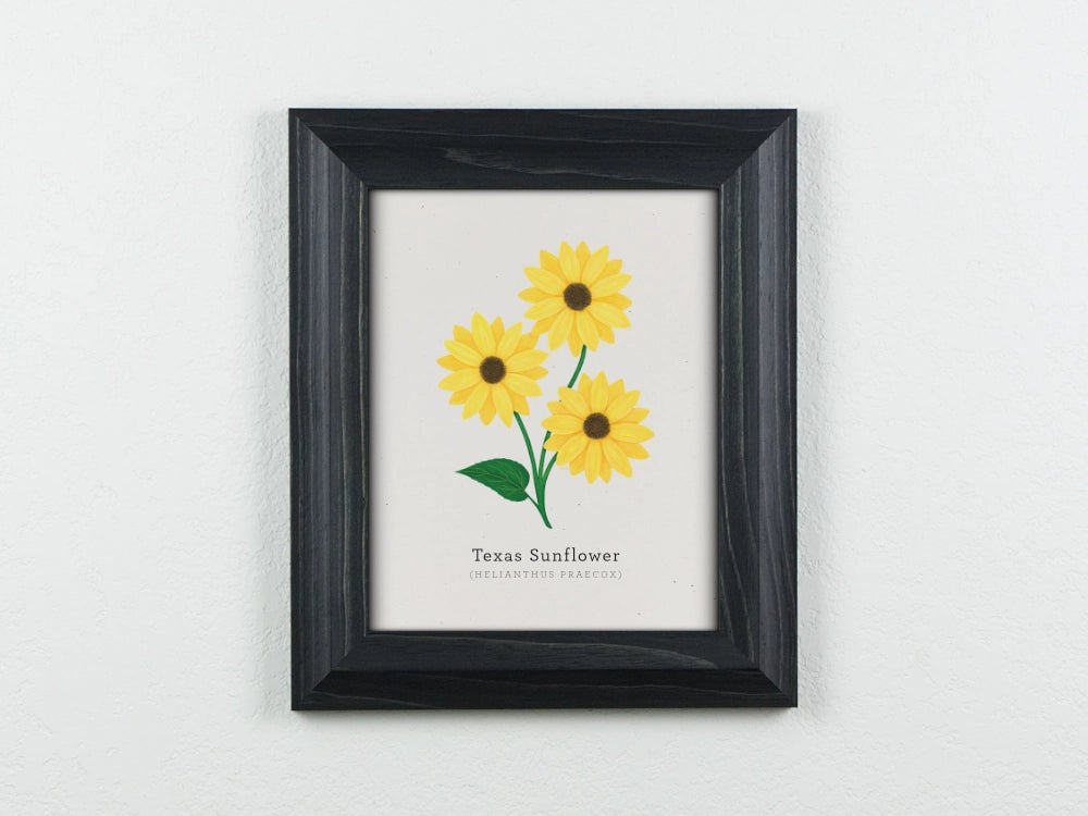 Texas Sunflower Art Print